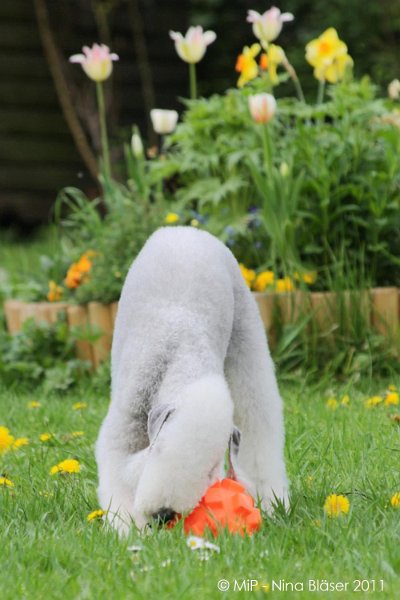 2011-04-23 Quincy etc (52).jpg